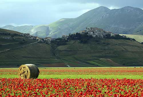 I luoghi della fede