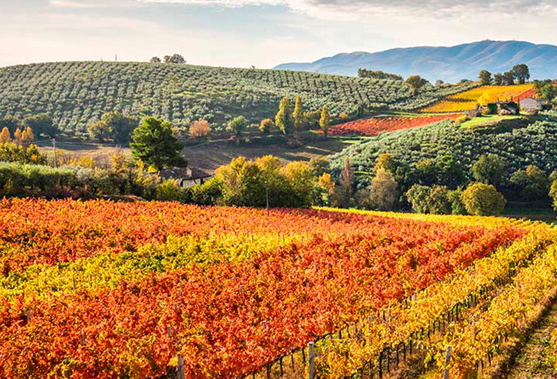 Vacanza in bicicletta sugli itinerari più belli dell'Umbria con Cena e pomeriggio alle Terme di San Casciano | Umbria my Love