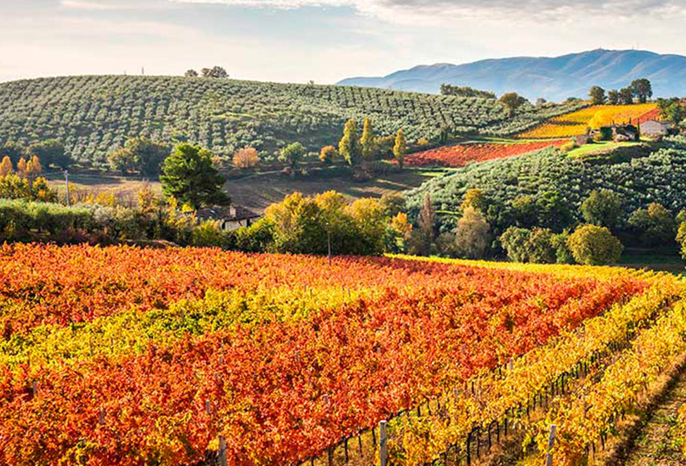 Vacanza in bicicletta sugli itinerari più belli dell'Umbria con Cena e pomeriggio alle Terme di San Casciano | Umbria my Love