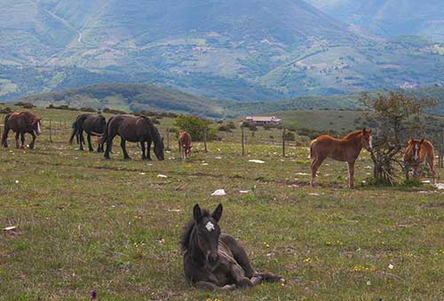 Umbria tra trekking e storia