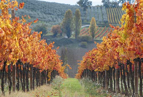 Umbria: tradizioni e artigianato