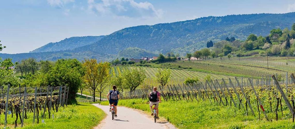 Green Weekend in Umbria 4 giorni: escursione in mountain bike nei dintorni di Assisi - Umbria my love