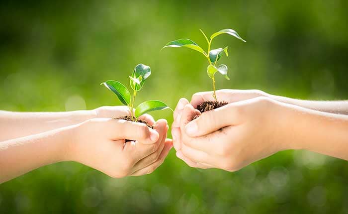 Green Weekend in Umbria 4 giorni Assisi e Monte Subasio. “Pianta un albero”, mountain bike, hiking, menu vegetariano. Umbria my love