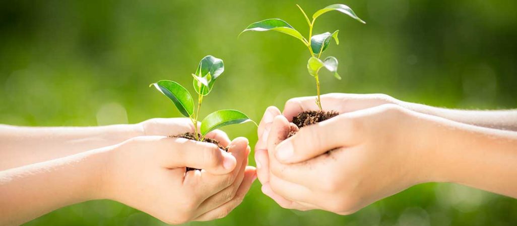 Vacanza natura per famiglie 5 giorni: Visita in azienda agricola con attività all’aria aperta. Tutto natura per famiglie - Umbria my love