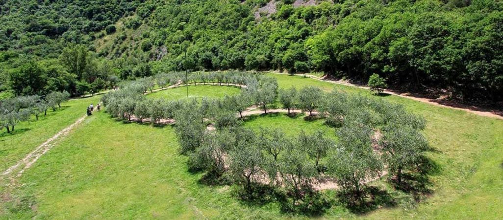 Weekend Romantico in Umbria 4 giorni: Visita al Bosco di San Francesco, bene FAI, luogo di pace e relax a contatto con la natura e la spiritualità - Umbria my love