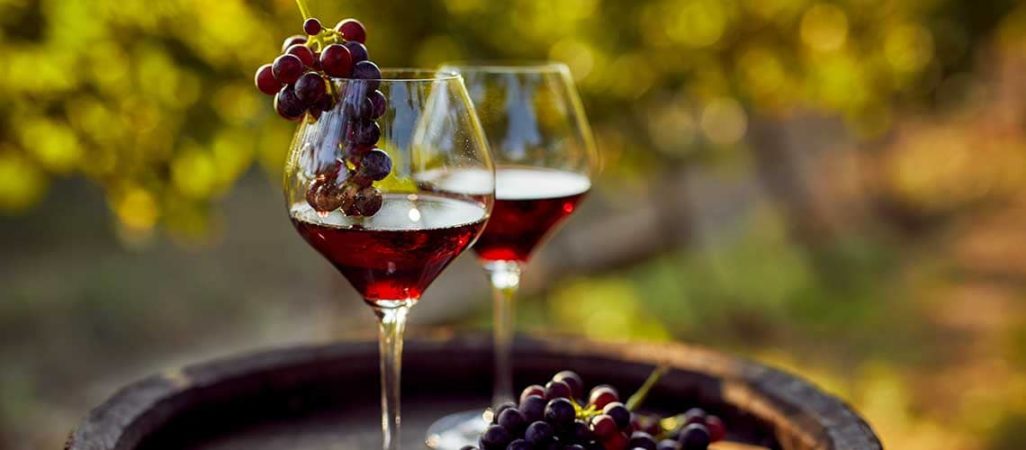 Vacanza attiva 5 giorni visita in cantina e degustazione di vini umbri. Sportivamente Umbria - Umbria my love