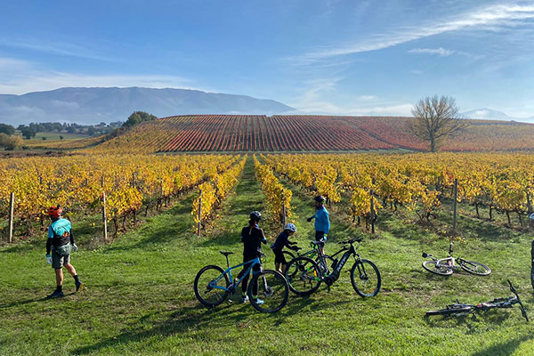 E-bike tour e wine tasting sosta per ammirare il bellissimo panorama dei vigneti. Umbria my Love