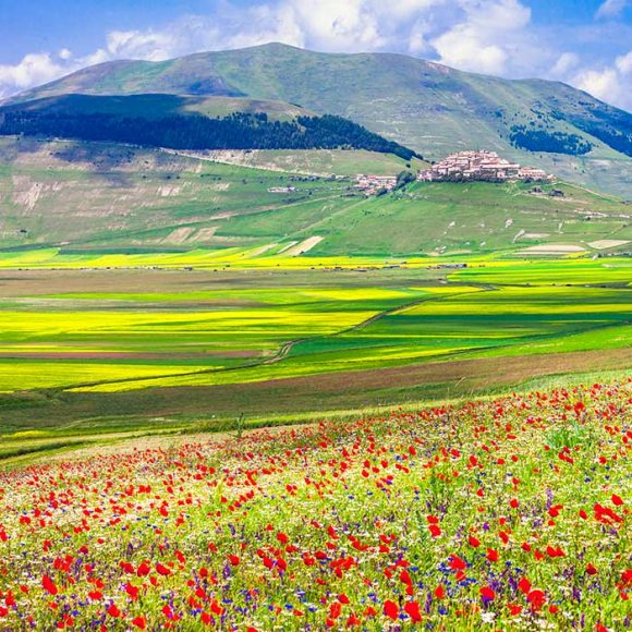 Valnerina, altopiano di Castelluccio di Norcia famoso per la sua spettacolare fioritura. Valnerina Vacanze Umbria my Love