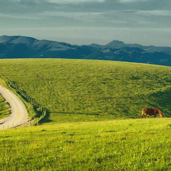 Parco del Monte Subasio, gli stazzi con cavalli al pascolo. Trekking, mountain bike, equitazione, deltaplano. Monte Subasio Vacanze Umbria my Love