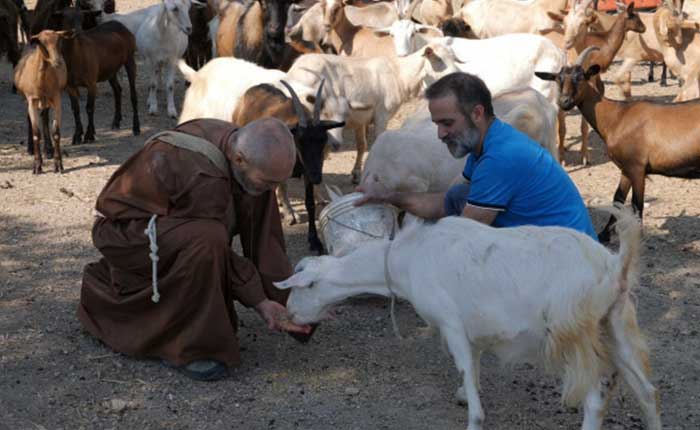 Experience alla Fattoria Etrusca con il Frate cercatore. fattoria con animali, tomba etrusca, natura e cascata, laboratorio di formaggi, degustazione. Esperienze Umbria my Love