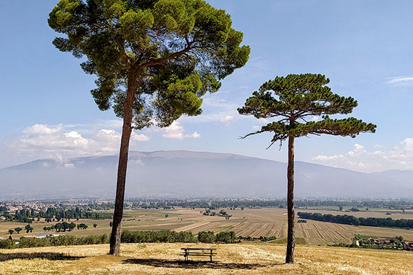 Tour in eBike itinerario da Assisi a Spello attraverso il Monte Subasio. Umbria my Love