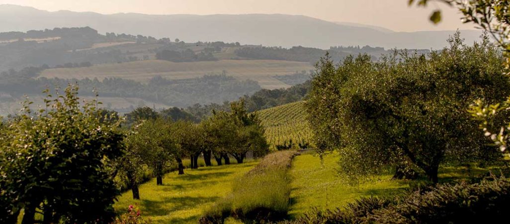 Romantico relax per 2 in Umbria immersi nella natura delle colline umbre per una passeggiata romantica. Umbria my love