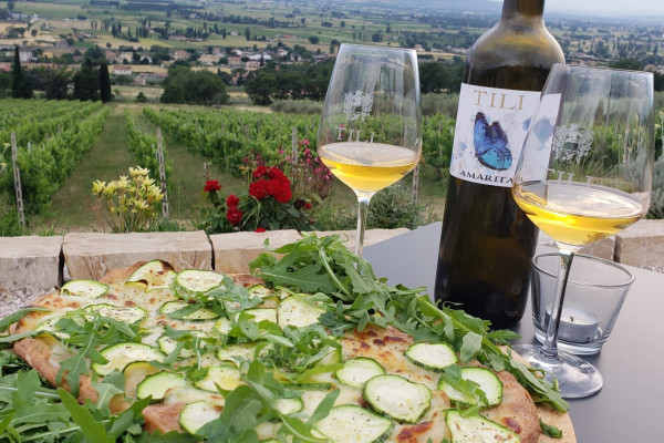 Escursione in bicicletta con degustazione di vini e prodotti umbri in cantina. Umbria my Love