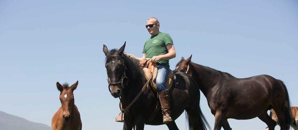 Una settimana in Umbria passeggiate a cavallo nella campagna umbra. Vivere a Poggiovalle Umbria my Love