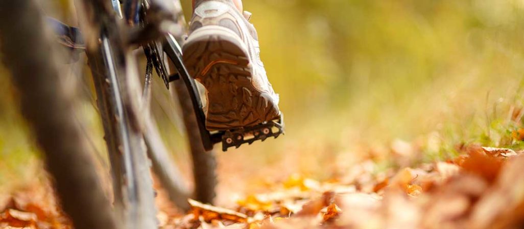 Vacanza sportiva a Gubbio, 4 giorni di itinerari naturalistici in bici sulle colline di Gubbio. Umbria my Love