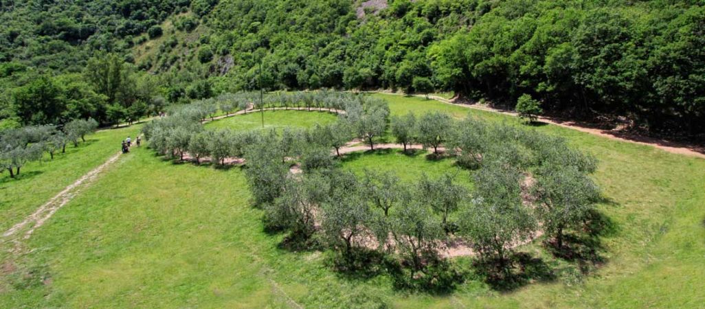 Visita di Assisi a piedi Bosco Sacro di San Francesco patrimonio FAI. In Vacanza con Umbria my Love